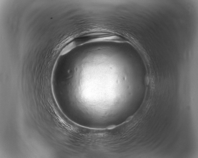 X0000086260433200703291437