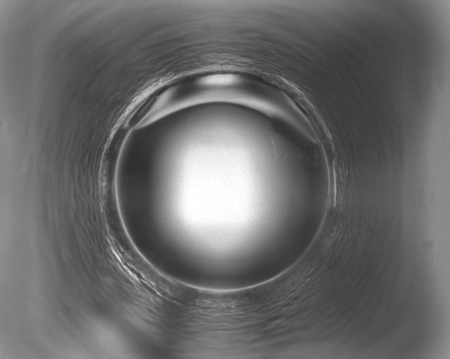 X0000086260435200703291437