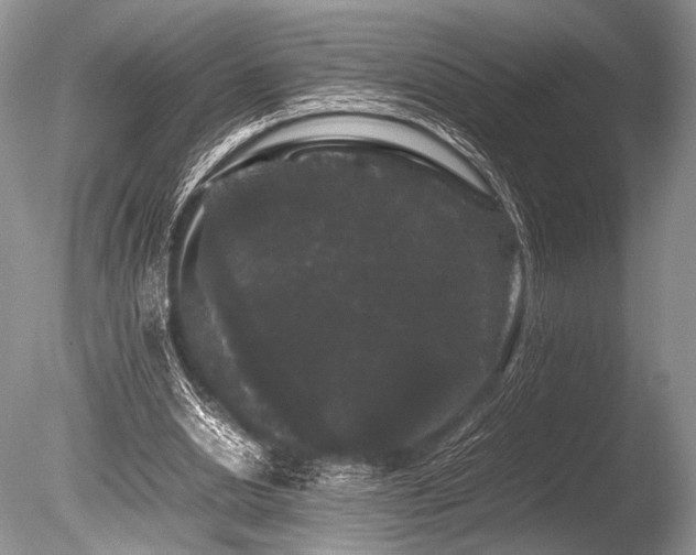 X0000086260438200703291437
