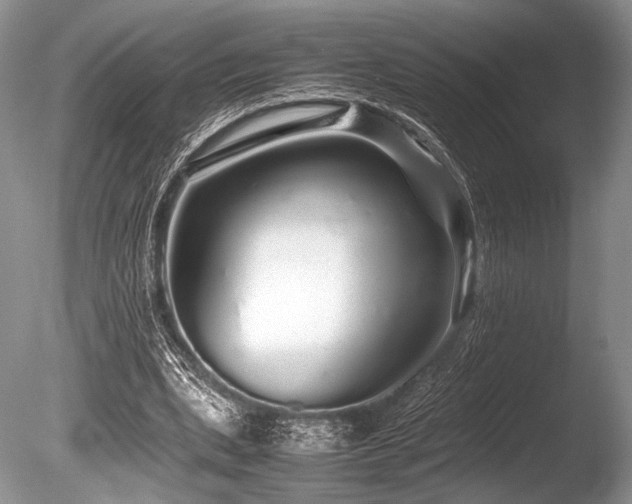 X0000086260439200703291437