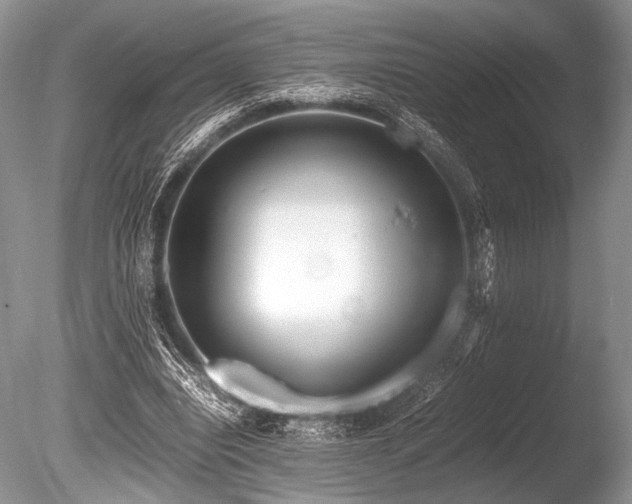 X0000086260440200703291437