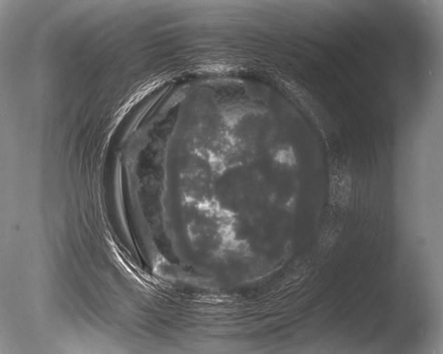 X0000086260443200703291437
