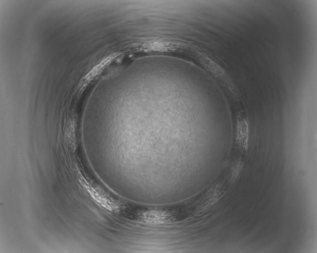 X0000086260444200703291437