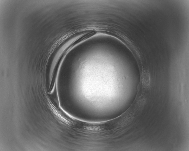 X0000086260445200703291437