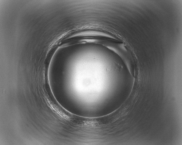X0000086260446200703291437