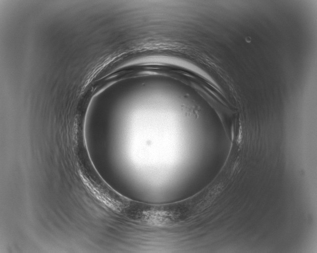 X0000086260448200703291437