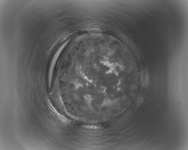 X0000086260449200703291437