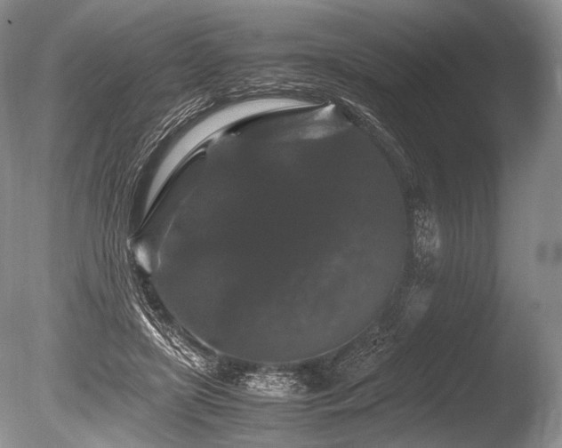 X0000086260451200703291437