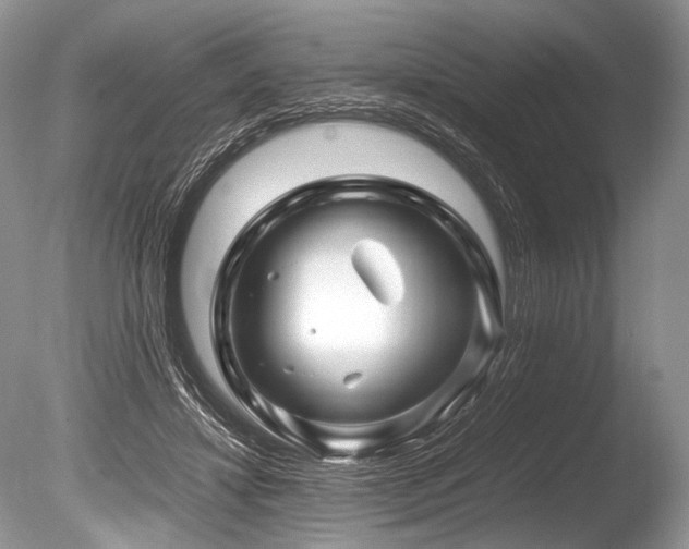 X0000086260452200703291438