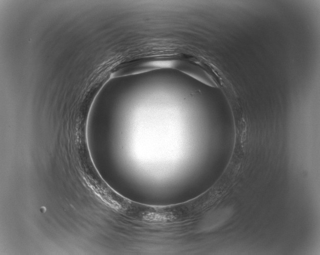 X0000086260455200703291438