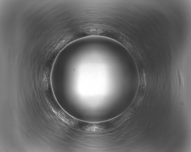 X0000086260460200703291438