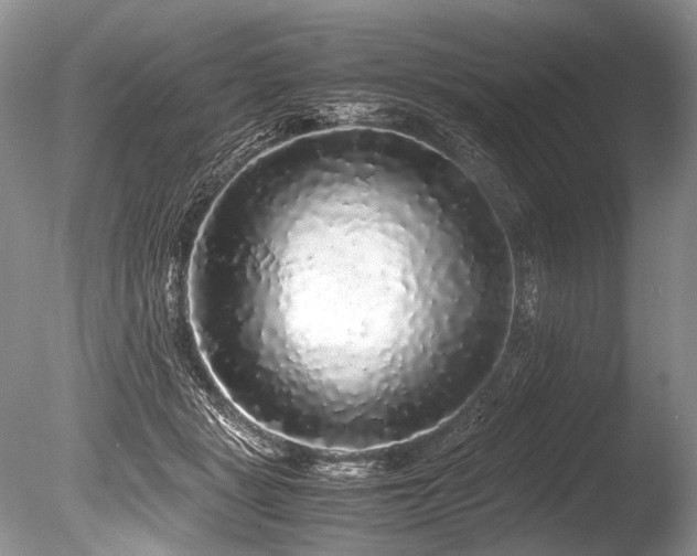 X0000086260461200703291438