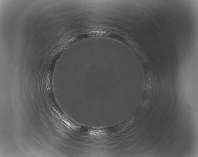 X0000086260465200703291438