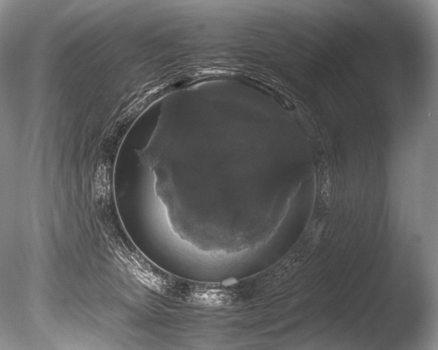 X0000086260467200703291438
