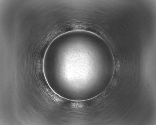 X0000086260469200703291438