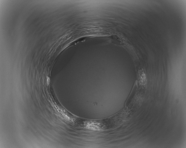 X0000086260471200703291438