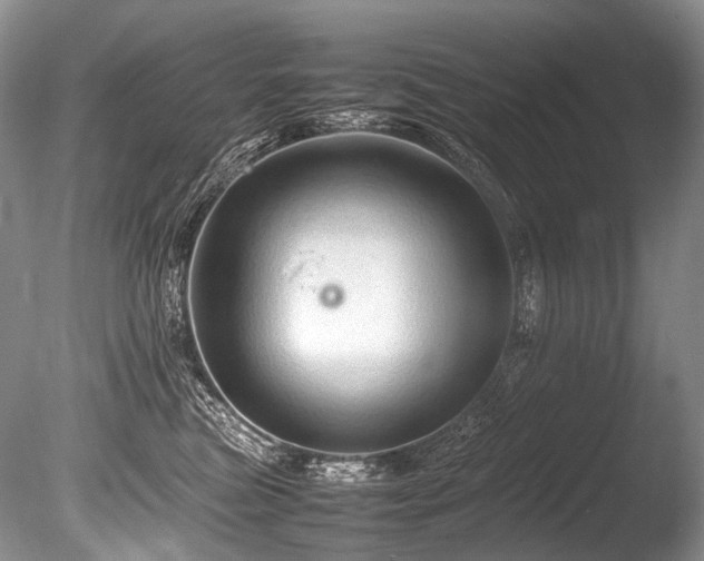 X0000086260473200703291438