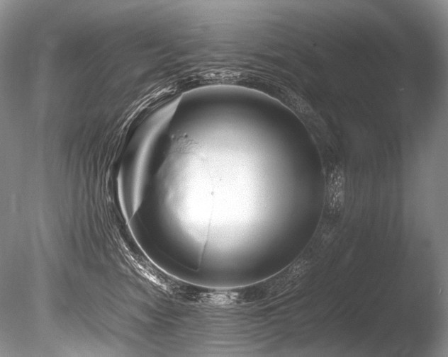 X0000086260474200703291438