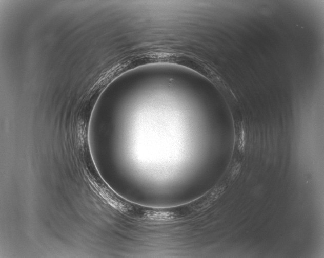 X0000086260476200703291438