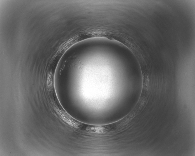 X0000086260478200703291438