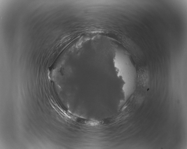 X0000086260479200703291438