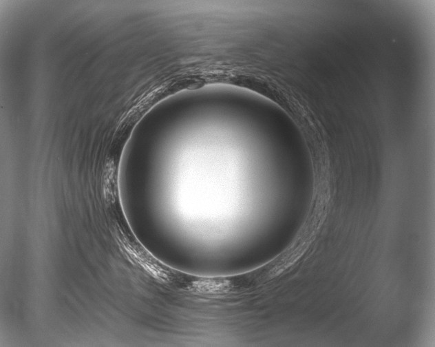 X0000086260480200703291438