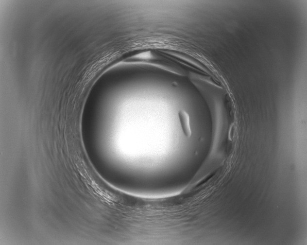 X0000086260481200703291437
