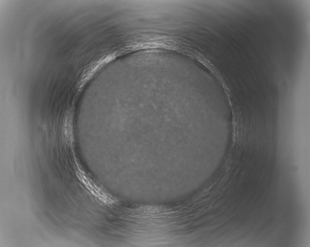 X0000086260482200703291437