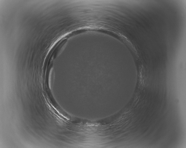 X0000086260484200703291437