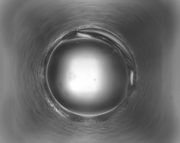 X0000086260485200703291437