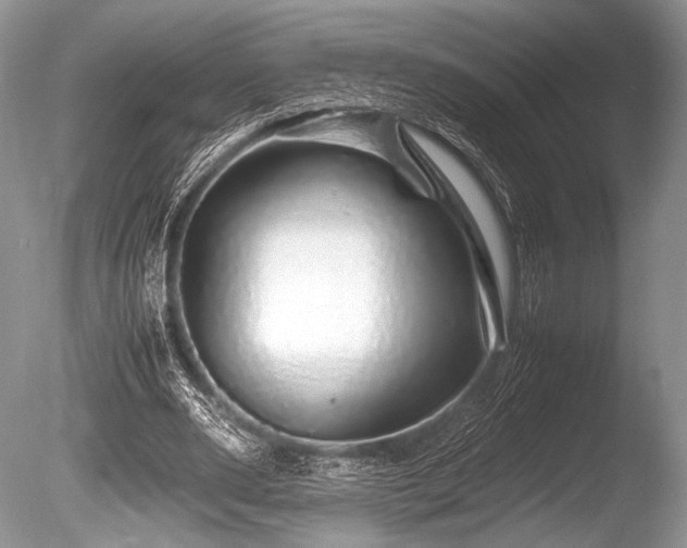 X0000086260486200703291437