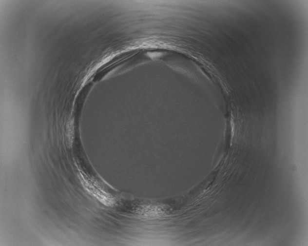 X0000086260488200703291437