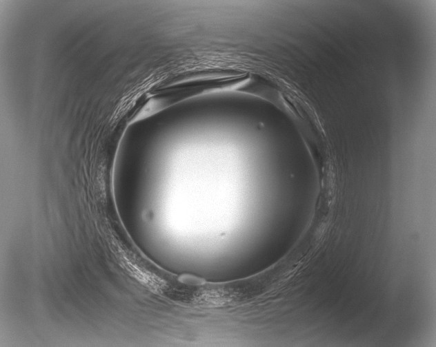 X0000086260489200703291437