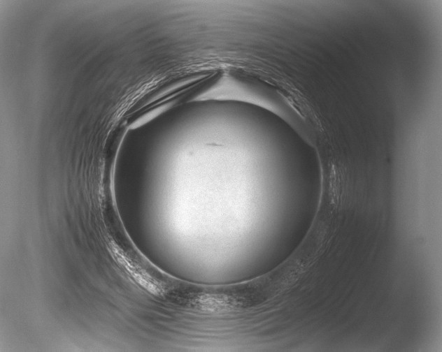 X0000086260490200703291437