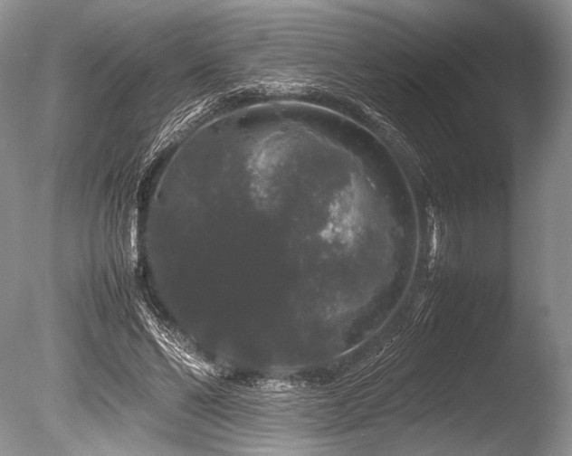 X0000086260494200703291437