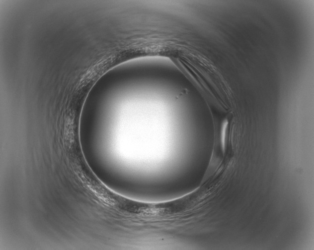 X0000086260497200703291437