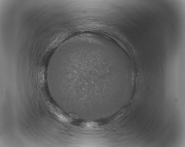 X0000086260501200703291437