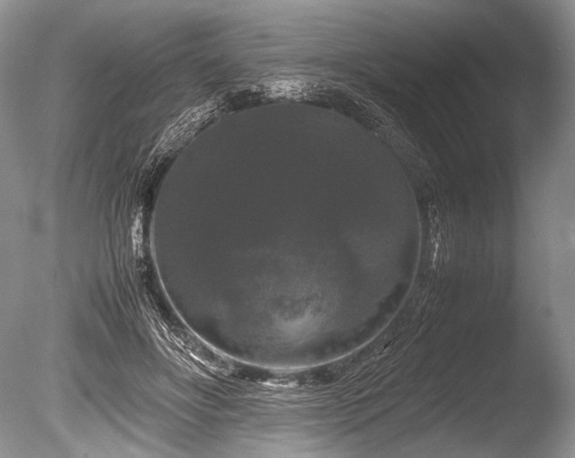 X0000086260502200703291437