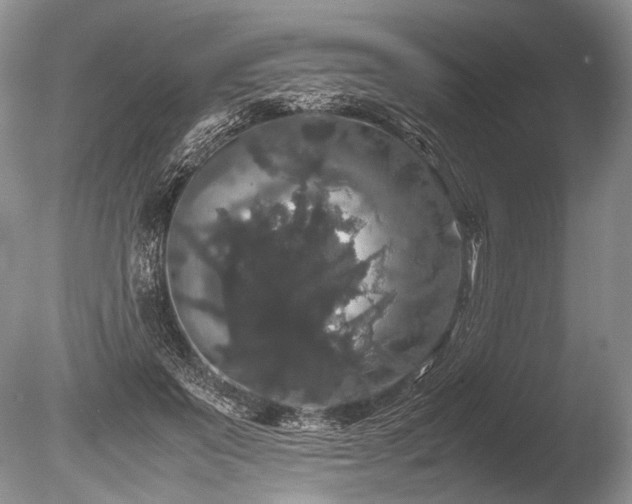 X0000086260503200703291437
