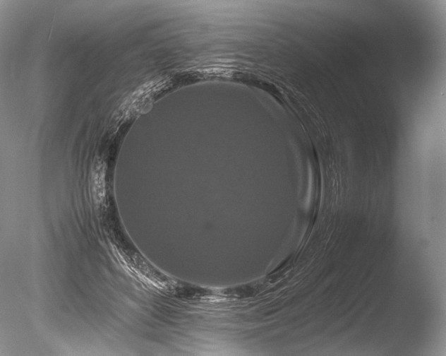 X0000086260504200703291437
