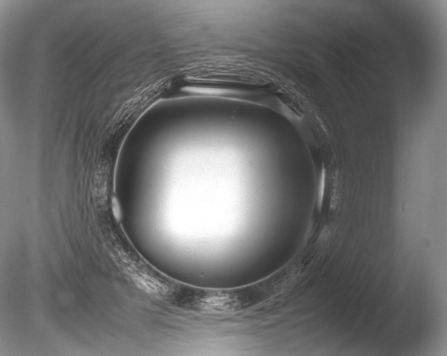 X0000086260505200703291437