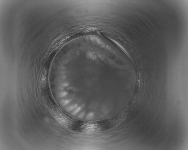 X0000086260507200703291437
