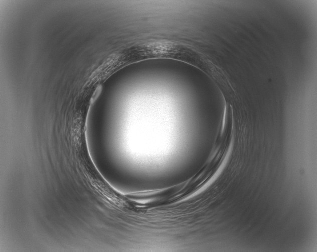 X0000086260509200703291437