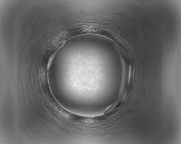 X0000086260513200703291437