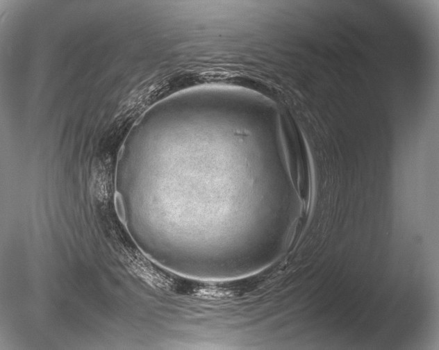 X0000086260515200703291437