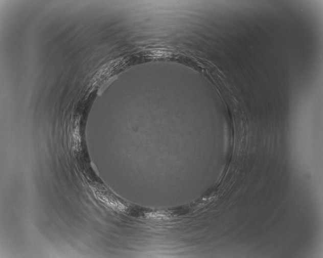 X0000086260516200703291437