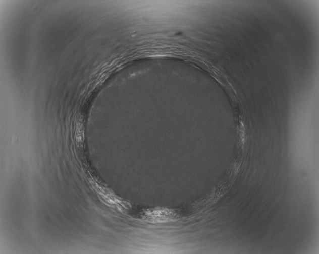 X0000086260517200703291437