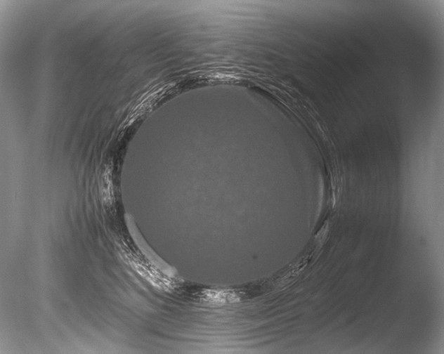 X0000086260520200703291436