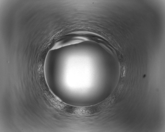 X0000086260521200703291436