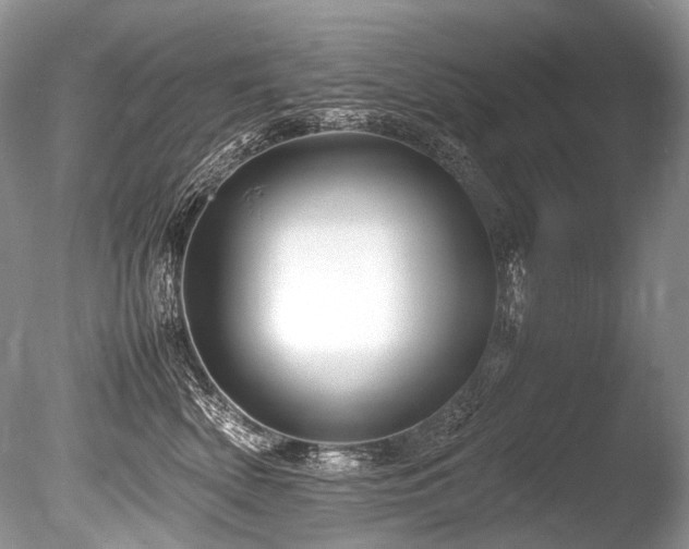 X0000086260522200703291436